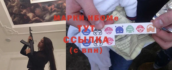гашик Козловка