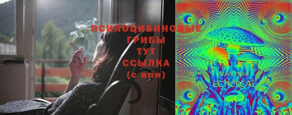дурь Киренск