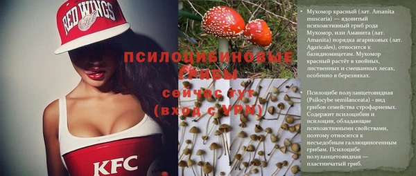 спиды Вяземский