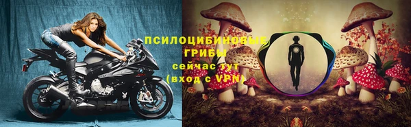 СК Алзамай