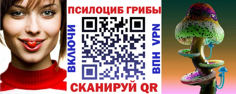где найти   Юрьев-Польский  Псилоцибиновые грибы прущие грибы 